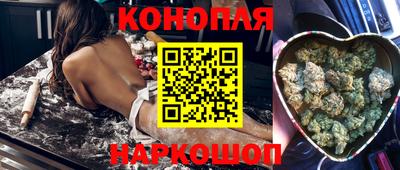 шишки Малгобек