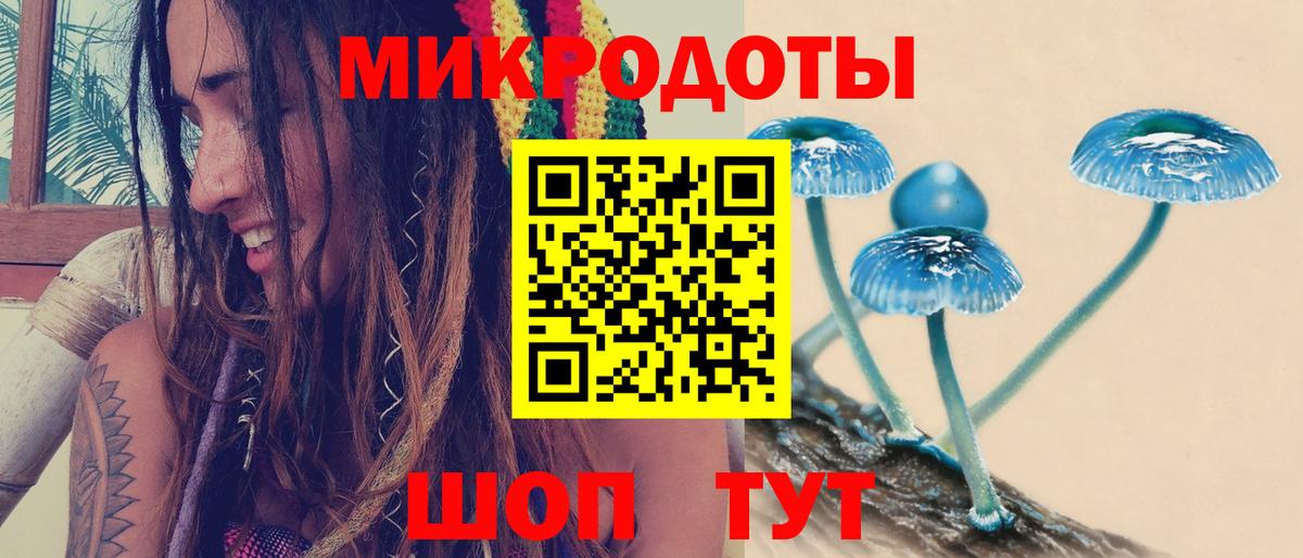 Галлюциногенные грибы Psilocybine cubensis  Вход с VPN  Грязи 